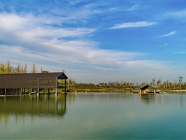 玉石湿地
