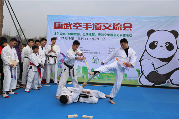 江家艺苑跆拳道活动01