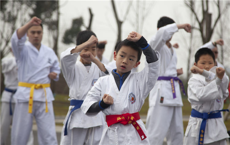 江家艺苑跆拳道活动05