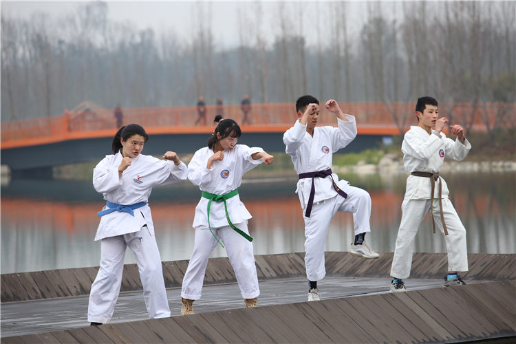 江家艺苑跆拳道活动11