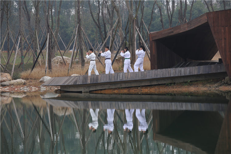 江家艺苑跆拳道活动12