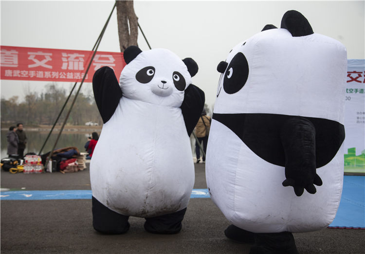 江家艺苑跆拳道活动03