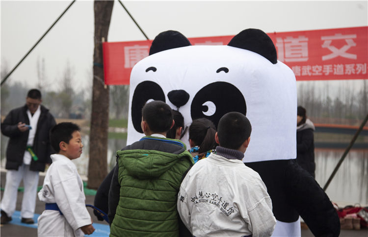 江家艺苑跆拳道活动02