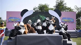 今天，天府绿道变体育赛道 ！全成都的“熊猫”在一起开了一场运动会→