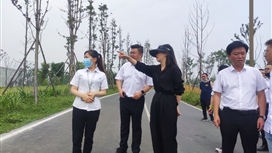 绿道建设集团副总经理胡佳带队开展成都环城生态公园项目节前安全环保专项检查