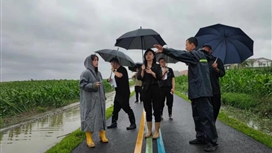 绿道建设集团开展环城生态区项目防汛专项检查