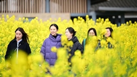 绿道建设公司组织开展2025年“三·八”国际妇女节主题活动